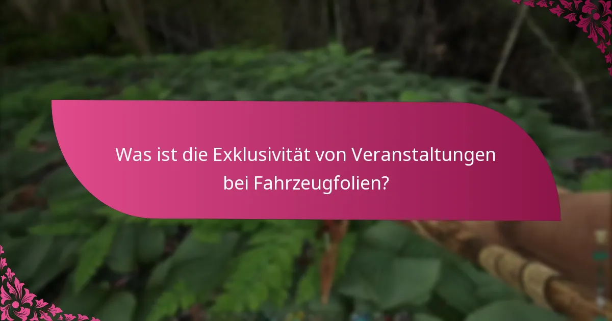 Wie navigiere ich durch den Reklamationsprozess für Fahrzeugfolien?