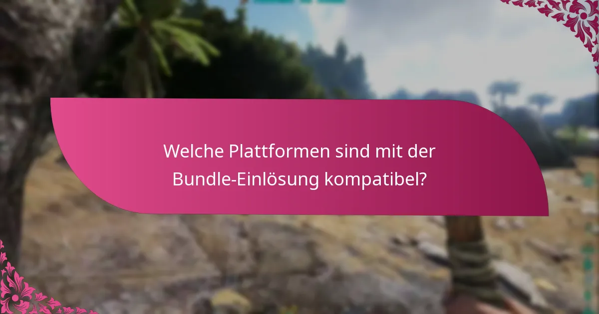 Was sind die häufigsten Probleme bei der Bundle-Einlösung?